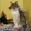 Отзыв от Дарья Богданова